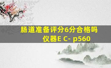 肠道准备评分6分合格吗仪器E C- p560